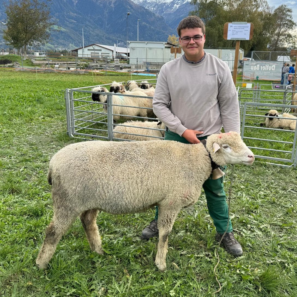 06 Miss Weisses Alpenschaf   Besitzer Andrin Gabathuler